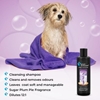 Picture of Groom Professional Sugar Plum Pie Shampoo